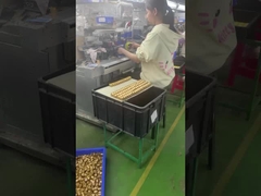 giocattolo di design in PVC in plastica 3D, giocattolo d'arte su misura, produttore